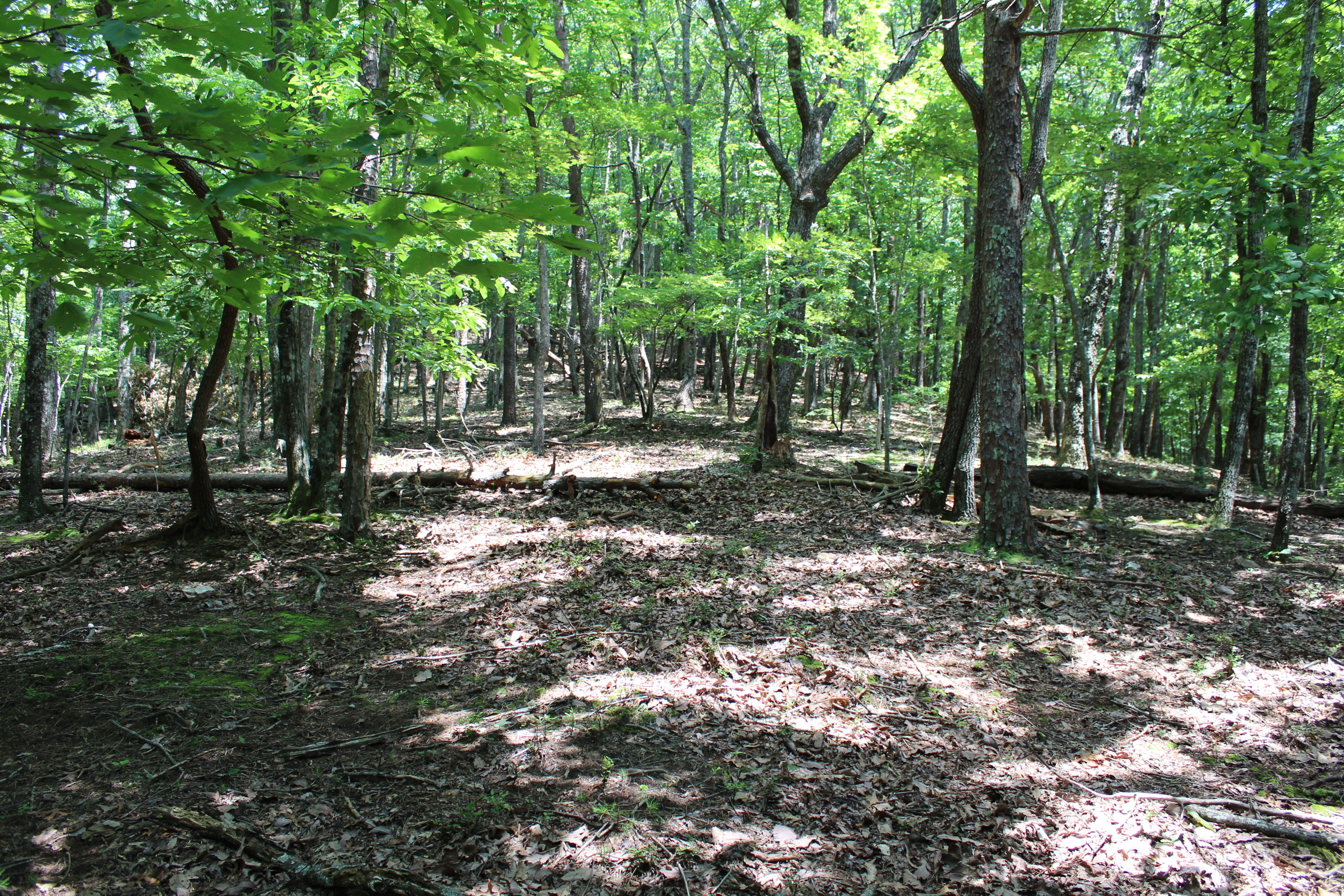 0 Denny Ridge Road, Unit 4568 Jasper, GA 30143 - Photo 15 of 40