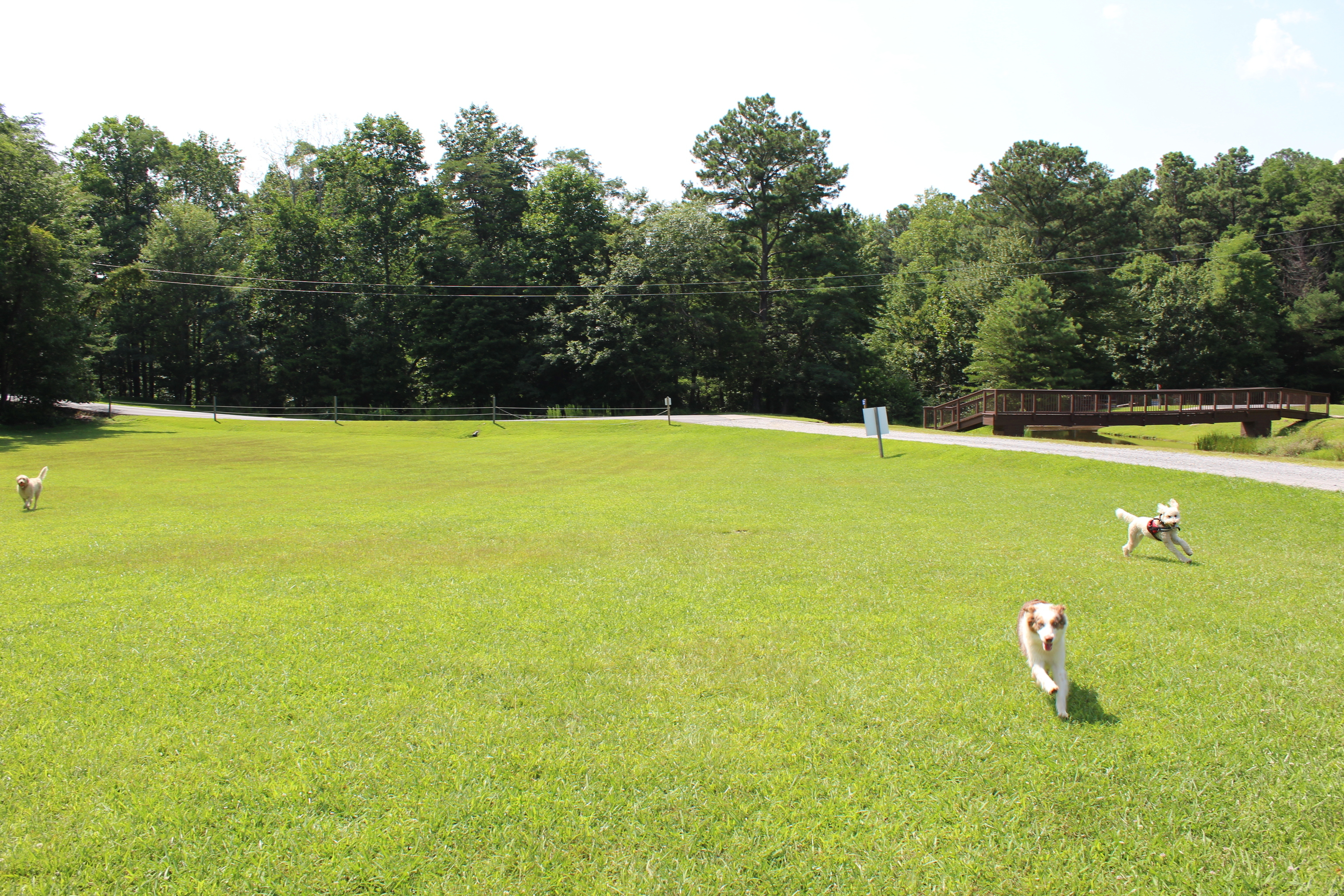 0 Denny Ridge Road, Unit 4568 Jasper, GA 30143 - Photo 30 of 40