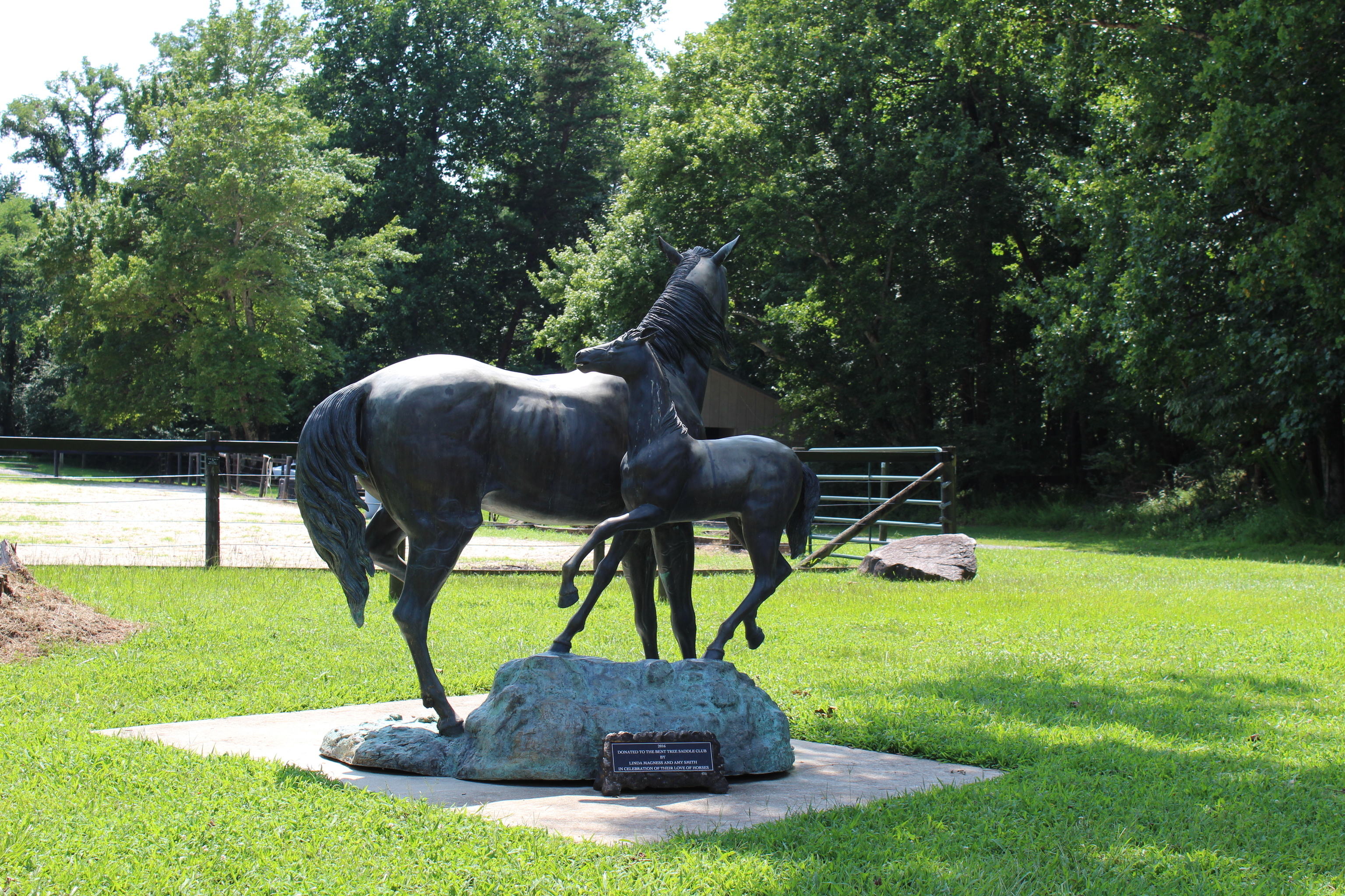 0 Denny Ridge Road, Unit 4568 Jasper, GA 30143 - Photo 36 of 40