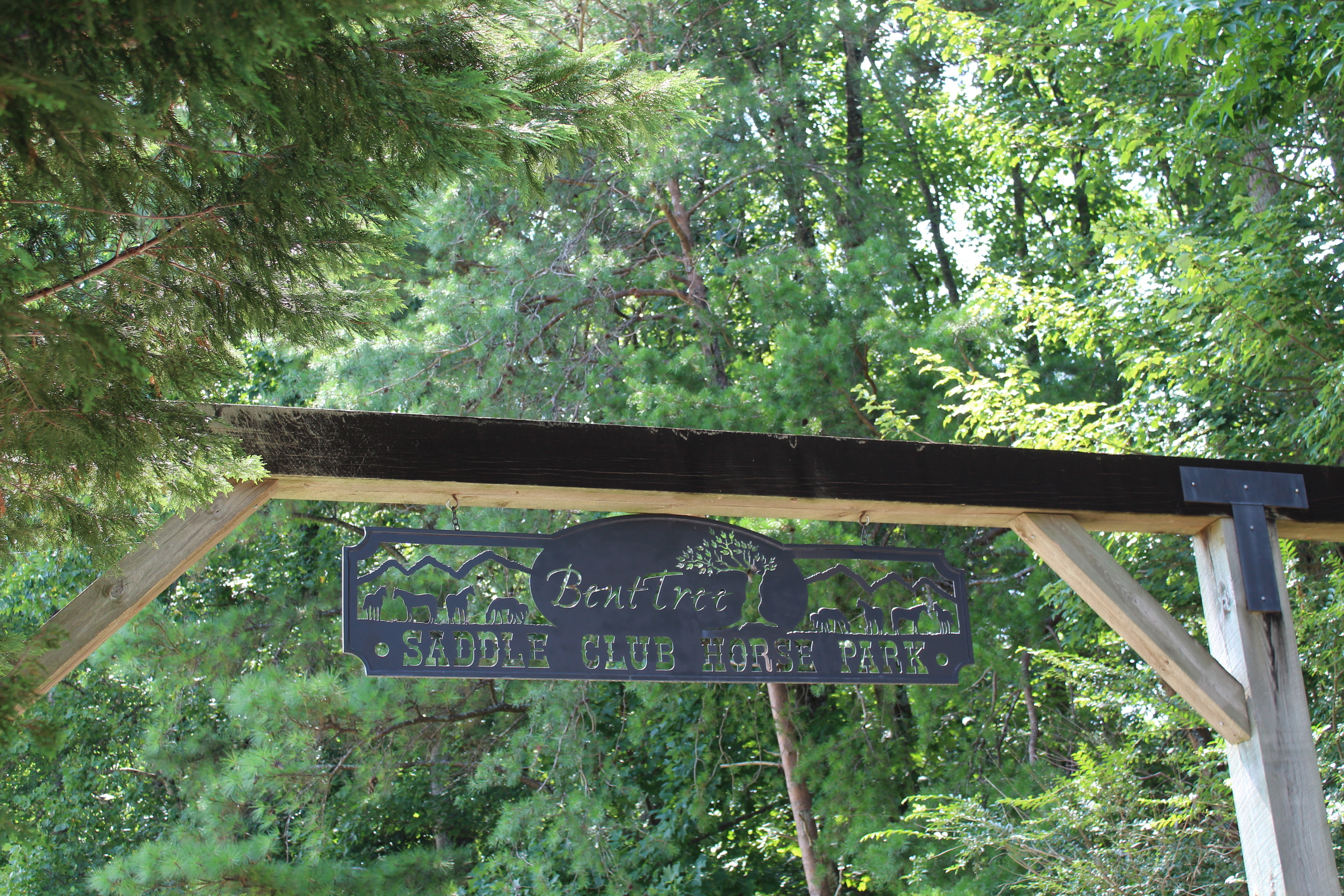 0 Denny Ridge Road, Unit 4568 Jasper, GA 30143 - Photo 37 of 40