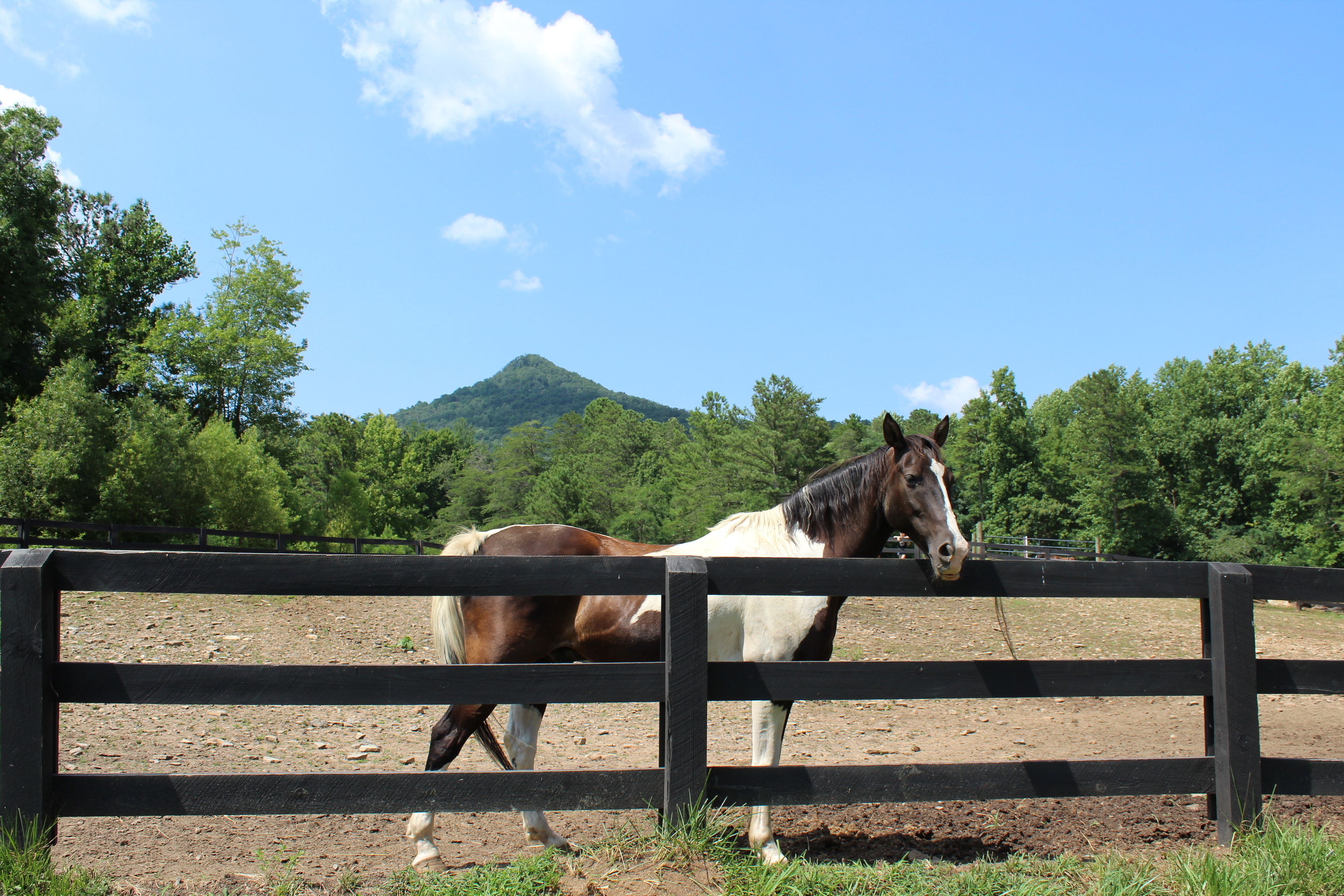 0 Denny Ridge Road, Unit 4568 Jasper, GA 30143 - Photo 38 of 40