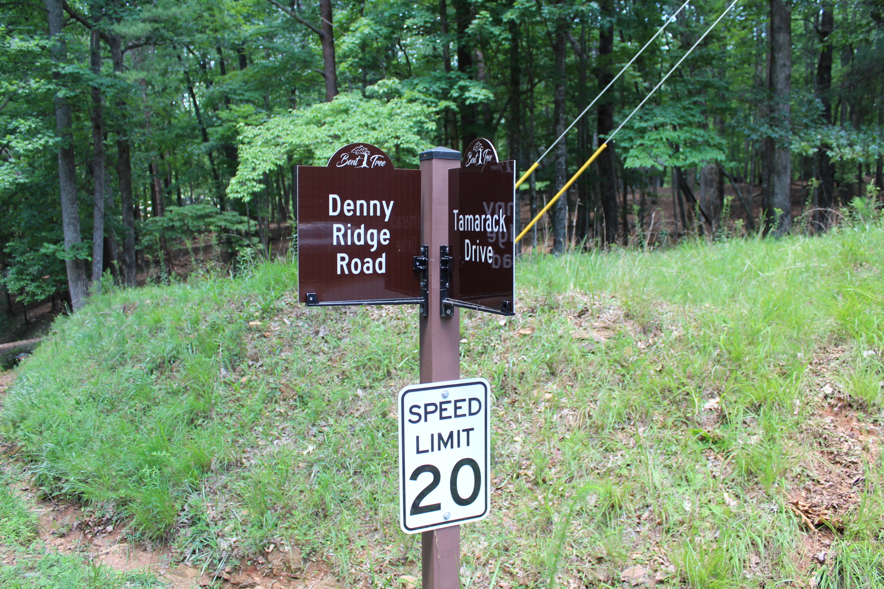 0 Denny Ridge Road, Unit 4568 Jasper, GA 30143 - Photo 4 of 40