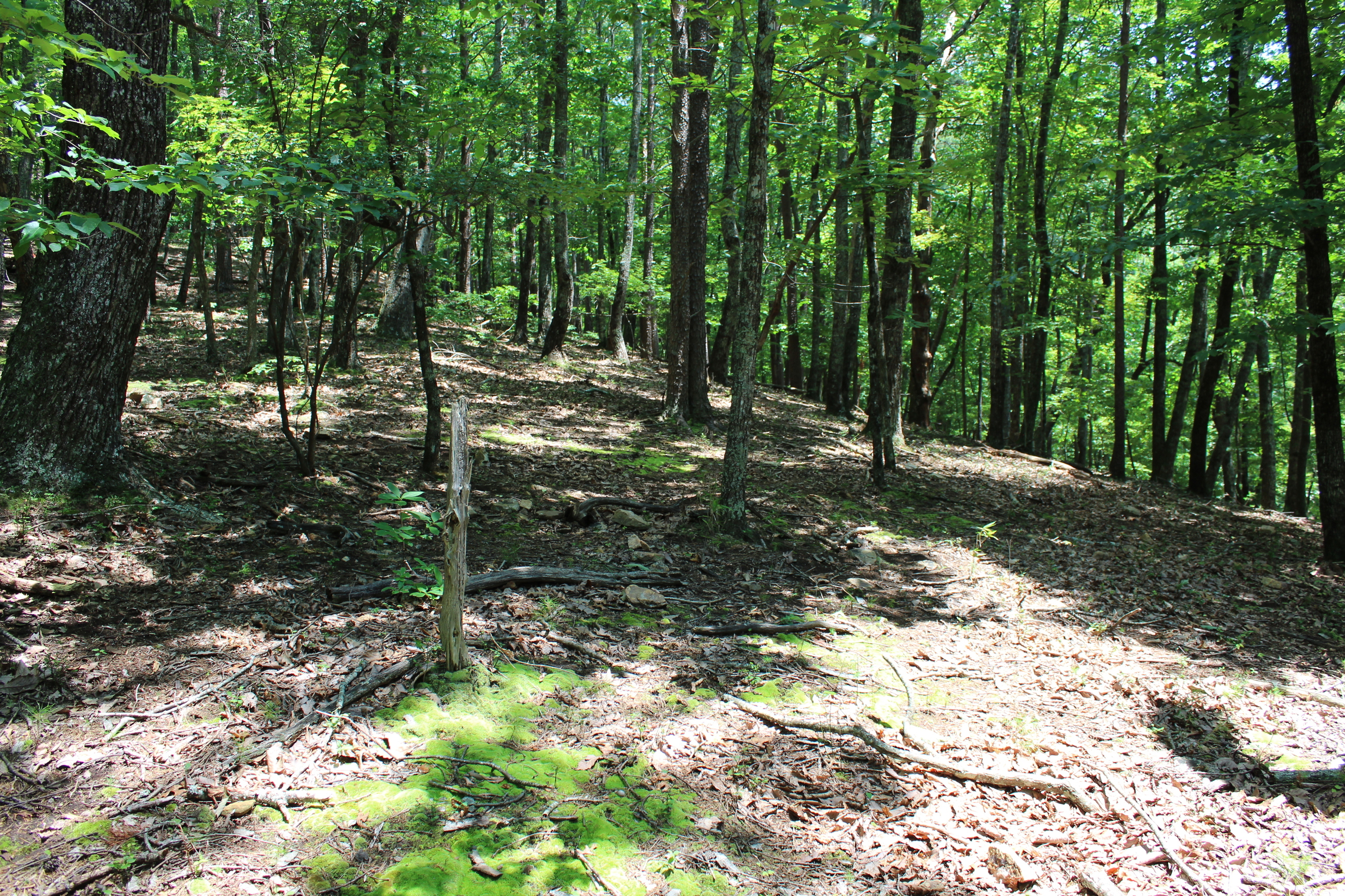 0 Denny Ridge Road, Unit 4568 Jasper, GA 30143 - Photo 8 of 40