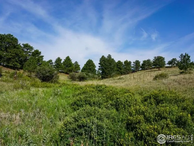 $260,000 | 0 Stub Court, Livermore, CO 80536