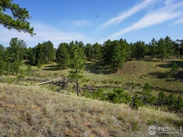 $260,000 | 0 Stub Court, Livermore, CO 80536