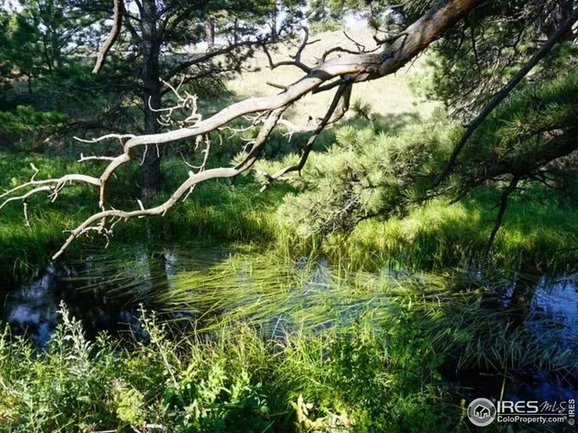 $260,000 | 0 Stub Court, Livermore, CO 80536