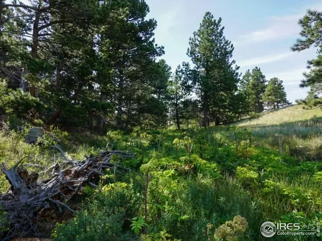 $260,000 | 0 Stub Court, Livermore, CO 80536