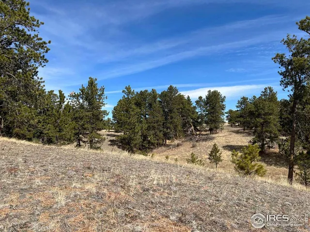 $260,000 | 0 Stub Court, Livermore, CO 80536