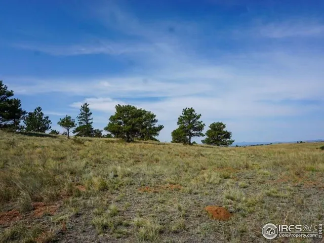 $260,000 | 0 Stub Court, Livermore, CO 80536