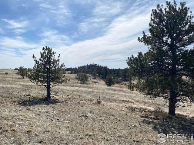 $260,000 | 0 Stub Court, Livermore, CO 80536