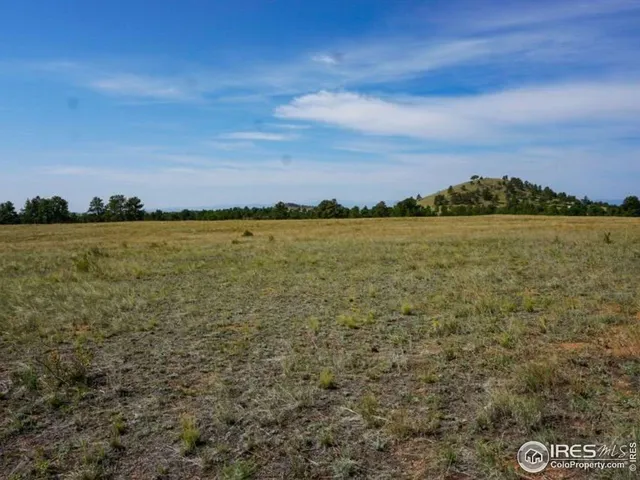 $260,000 | 0 Stub Court, Livermore, CO 80536