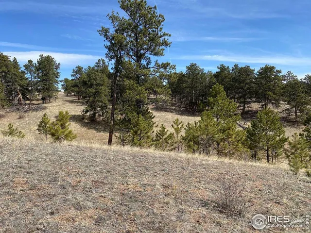 $260,000 | 0 Stub Court, Livermore, CO 80536