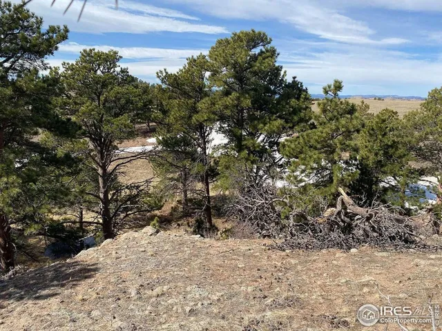 $260,000 | 0 Stub Court, Livermore, CO 80536