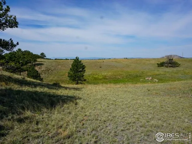 $260,000 | 0 Stub Court, Livermore, CO 80536