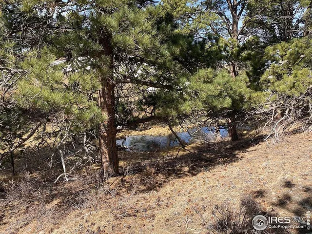 $260,000 | 0 Stub Court, Livermore, CO 80536