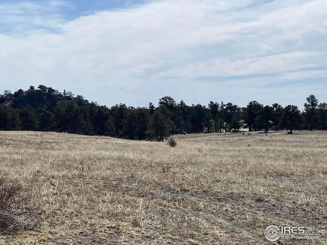 $260,000 | 0 Stub Court, Livermore, CO 80536