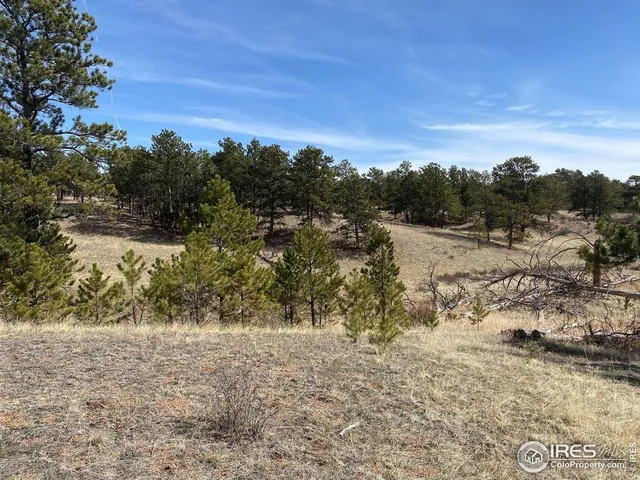 $260,000 | 0 Stub Court, Livermore, CO 80536