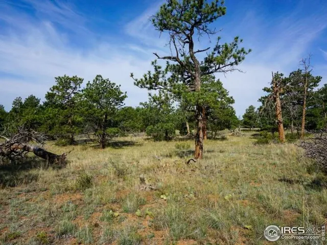 $260,000 | 0 Stub Court, Livermore, CO 80536