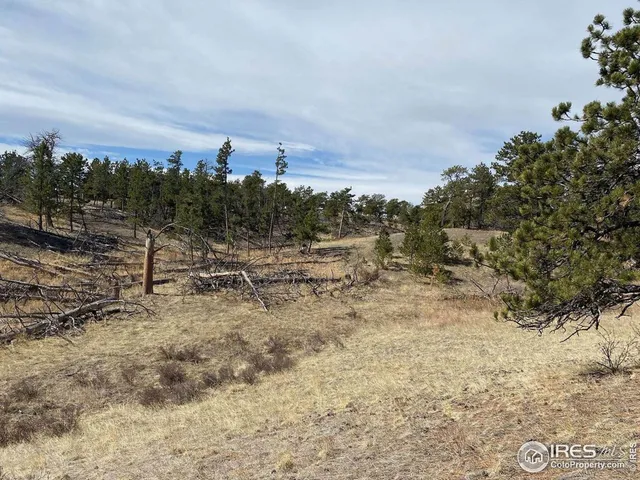 $260,000 | 0 Stub Court, Livermore, CO 80536