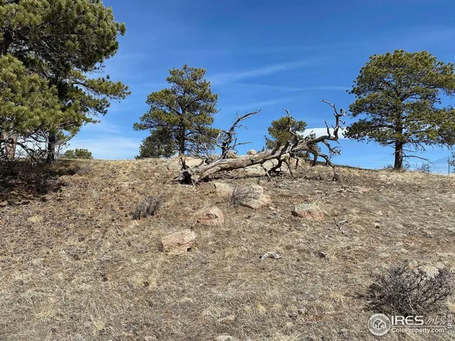 $260,000 | 0 Stub Court, Livermore, CO 80536