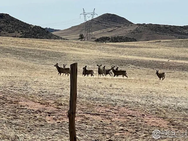 $260,000 | 0 Stub Court, Livermore, CO 80536