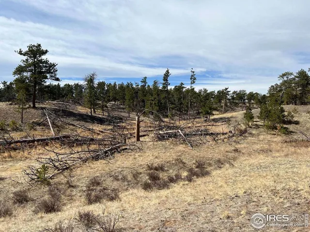 $260,000 | 0 Stub Court, Livermore, CO 80536