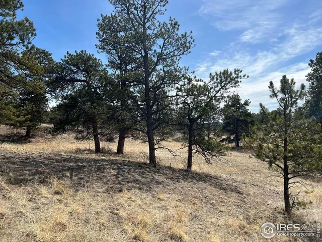 $260,000 | 0 Stub Court, Livermore, CO 80536