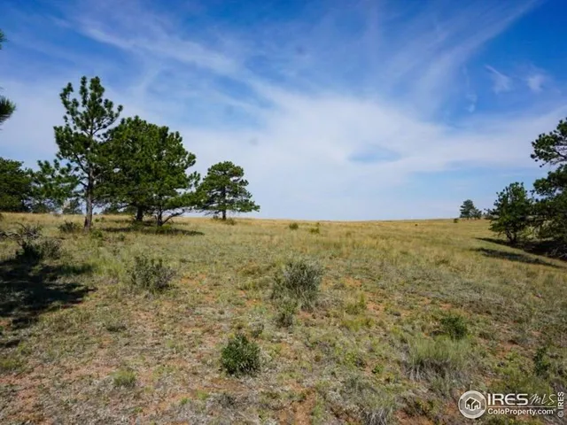 $260,000 | 0 Stub Court, Livermore, CO 80536