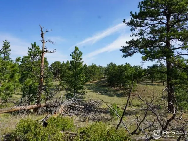 $260,000 | 0 Stub Court, Livermore, CO 80536