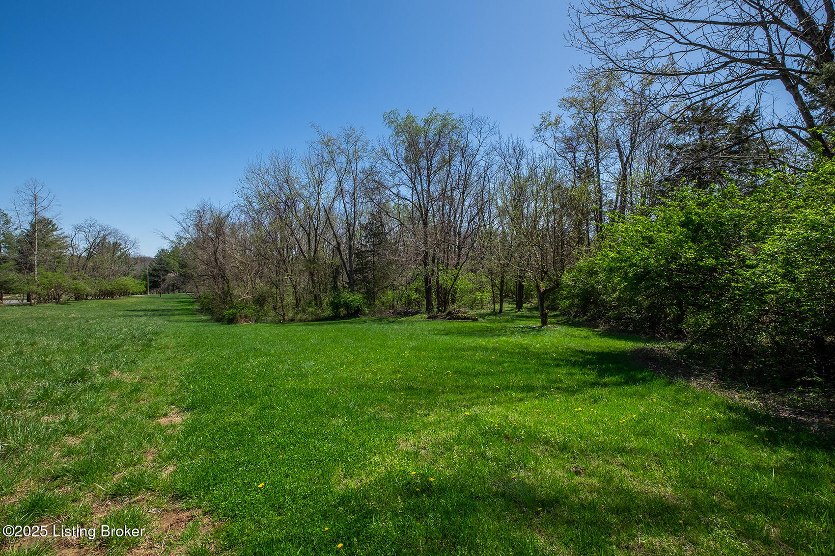 1215 Johnson Road Louisville, KY 40245 - Photo 60 of 68 Project_20250408_0080