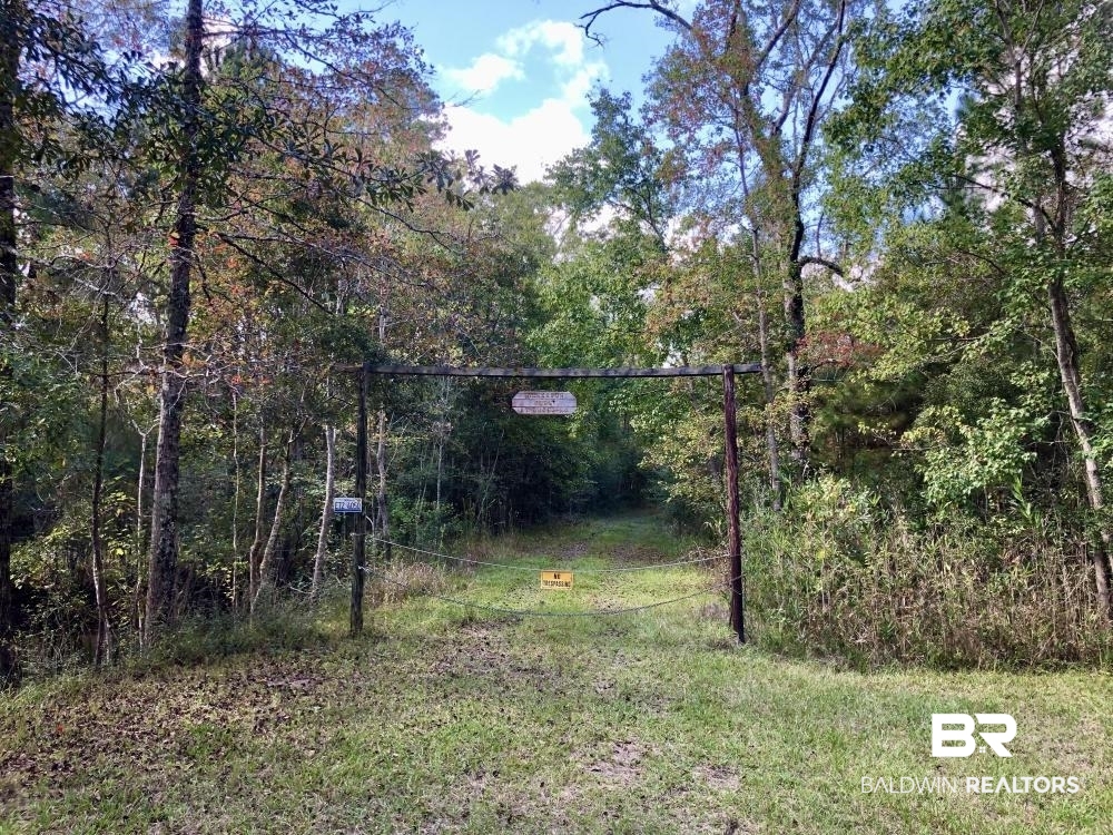 0 Country Road Axis, AL 36505 - Photo 24 of 42