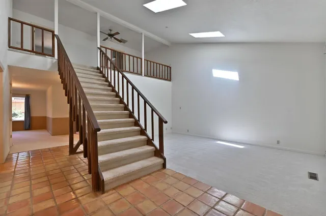 a view of a yard with a tree