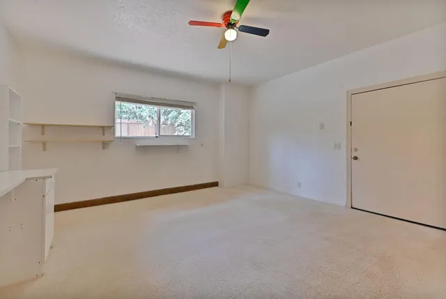 a view of a backyard with large tree
