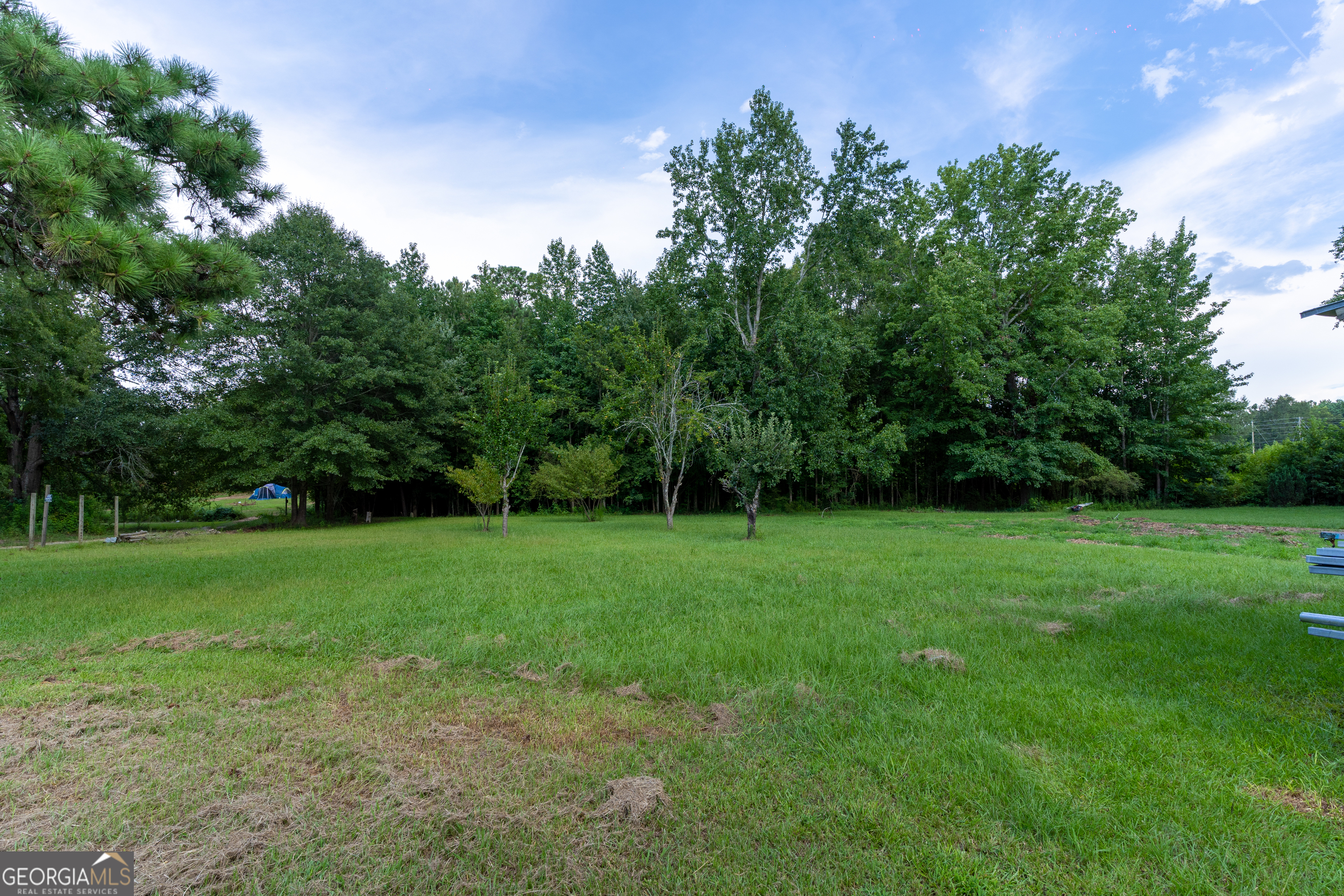 1537 Jackson Street Locust Grove, GA 30248 - Photo 37 of 41 a view of grassy field with trees in the background
