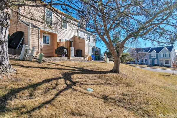 a view of road with large trees