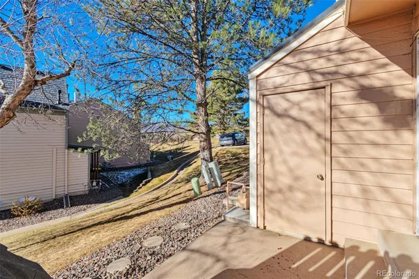 a view of a backyard with a tree