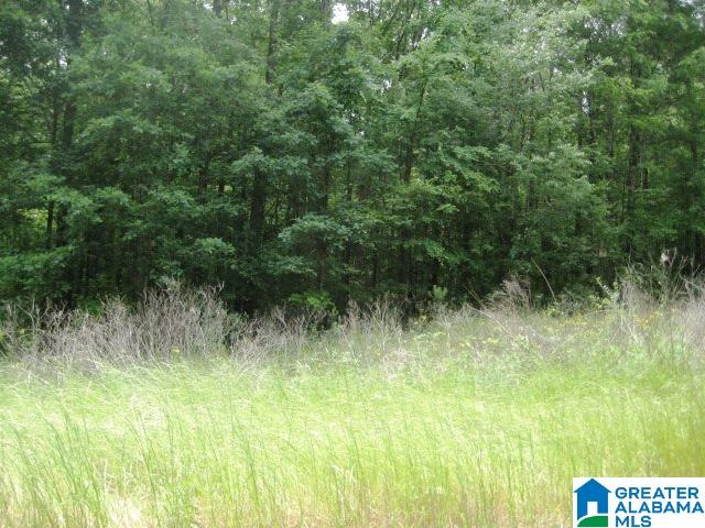 0 Sulphur Springs Road, Unit 10 ACRES Lincoln, AL 35096 - Photo 3 of 32