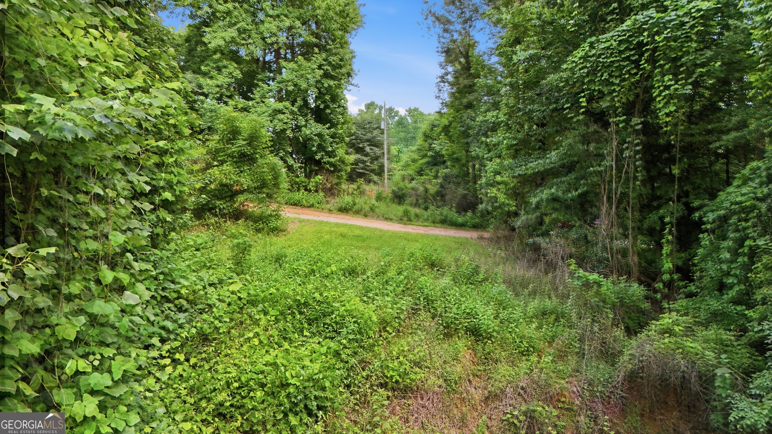 0 Lord Road Commerce, GA 30530 - Photo 15 of 22