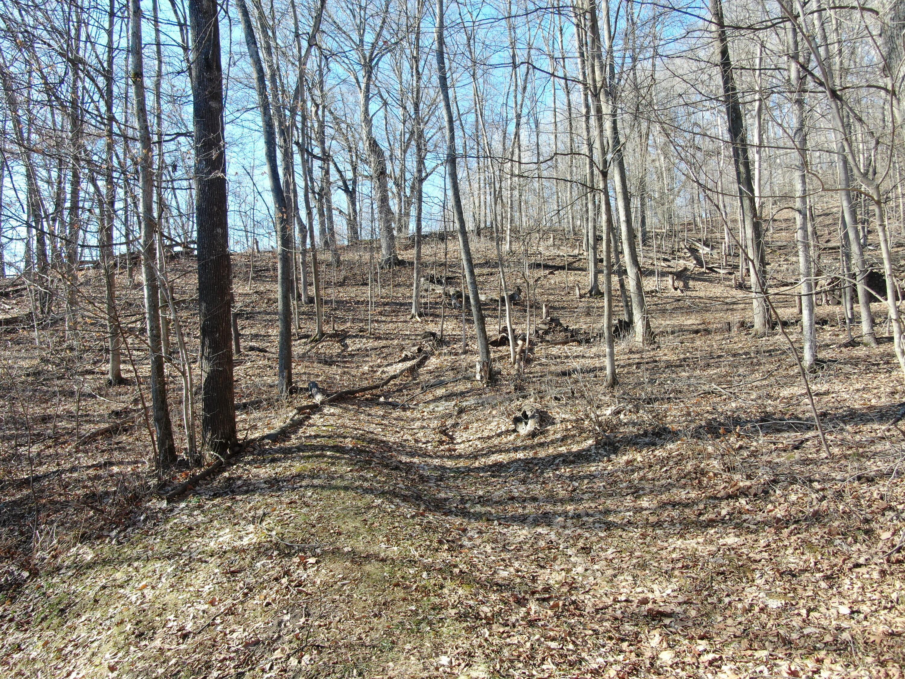 E13332 Highway 82 Stark, WI 54639 - Photo 57 of 71 DJI_0954
