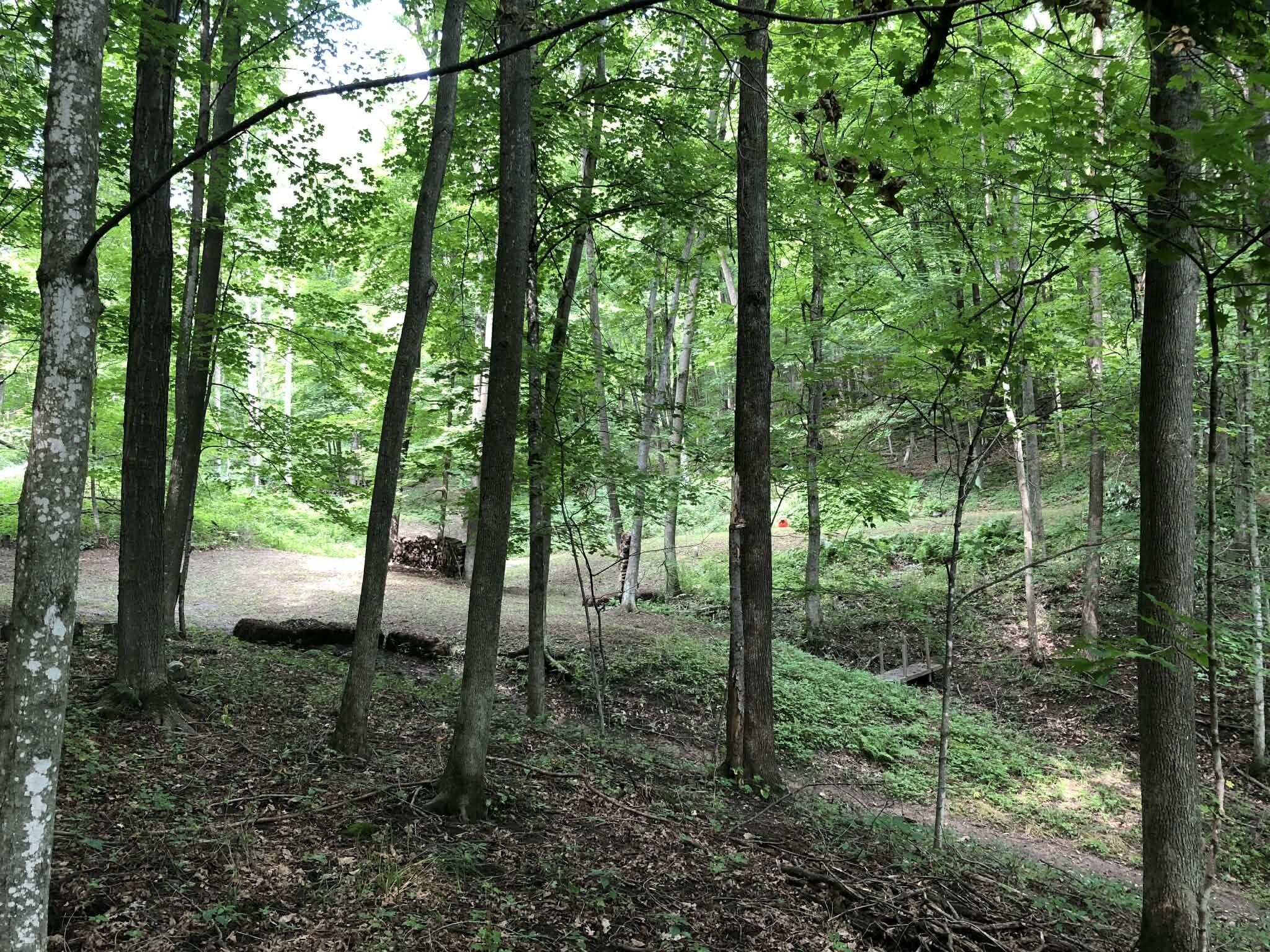 E13332 Highway 82 Stark, WI 54639 - Photo 61 of 71 8864a1de-00ae-4704-95f8-396b2d4a502f