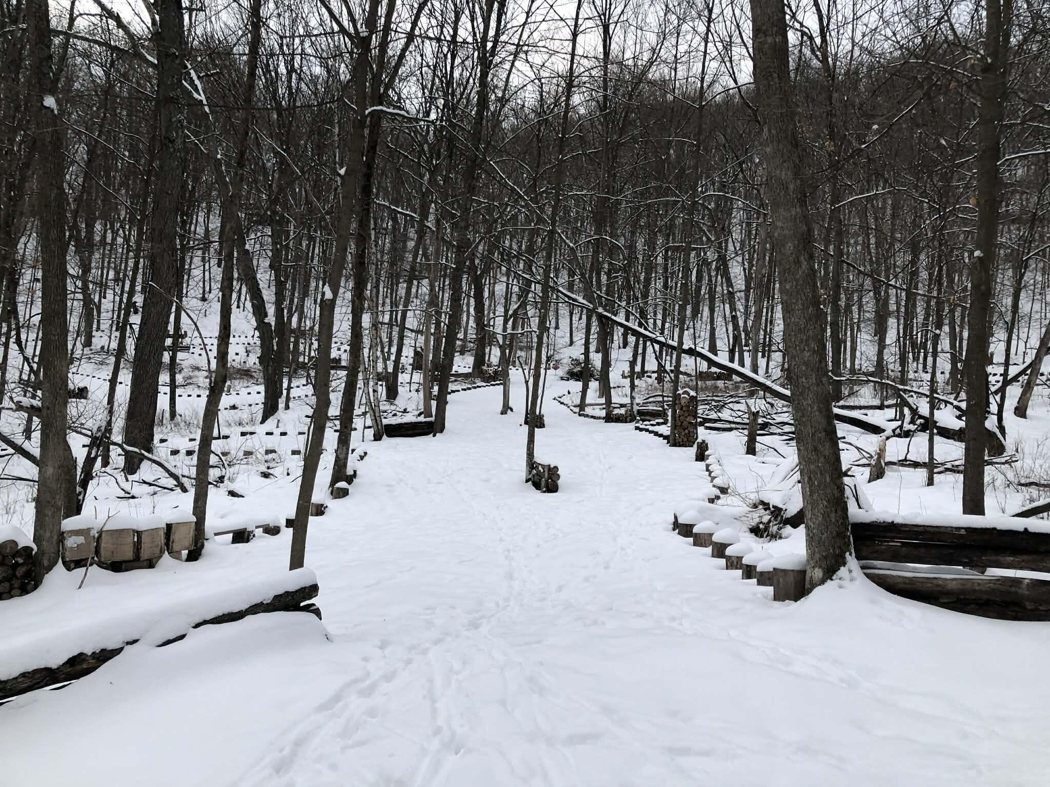 E13332 Highway 82 Stark, WI 54639 - Photo 62 of 71 4e28cbc6-b1bb-403f-ad40-e1771e7604e0