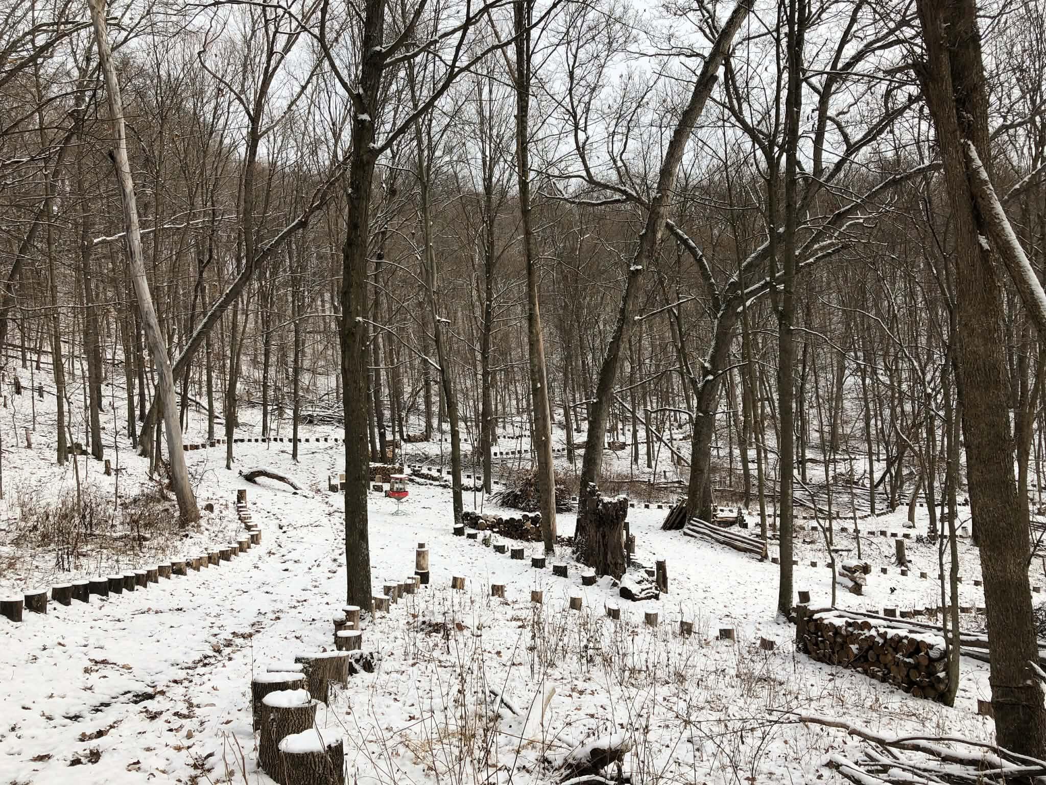 E13332 Highway 82 Stark, WI 54639 - Photo 63 of 71 81b9daaf-5e1e-4739-9ad0-4fd00bbcb2e2