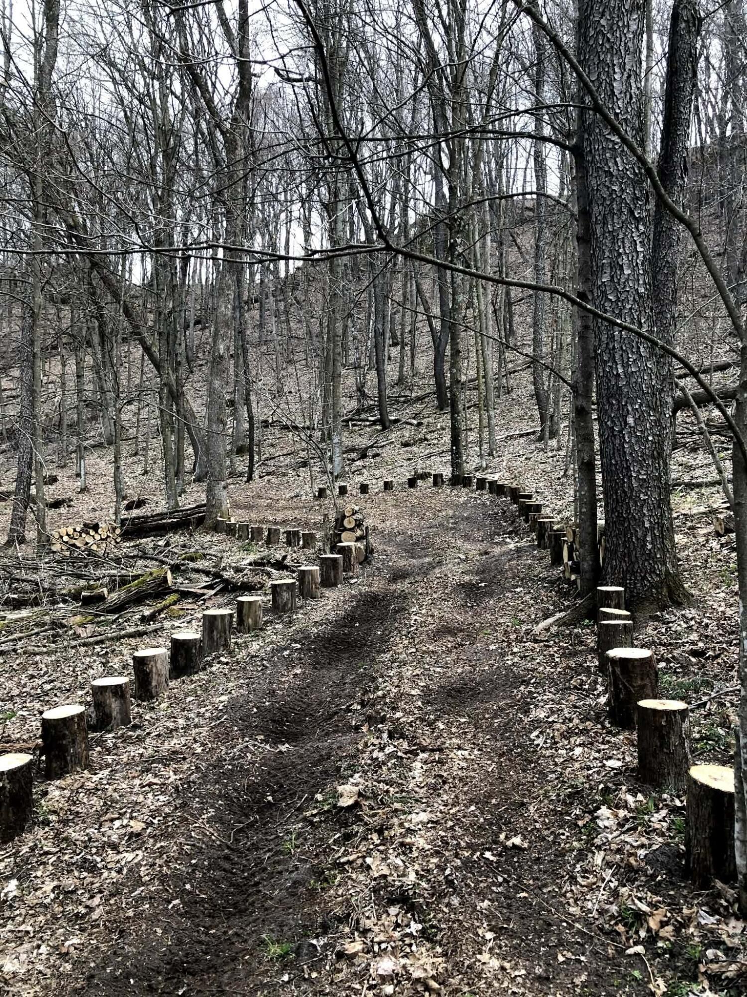 E13332 Highway 82 Stark, WI 54639 - Photo 66 of 71 b21f5b0a-b198-4c95-90ca-e9c6d571d482