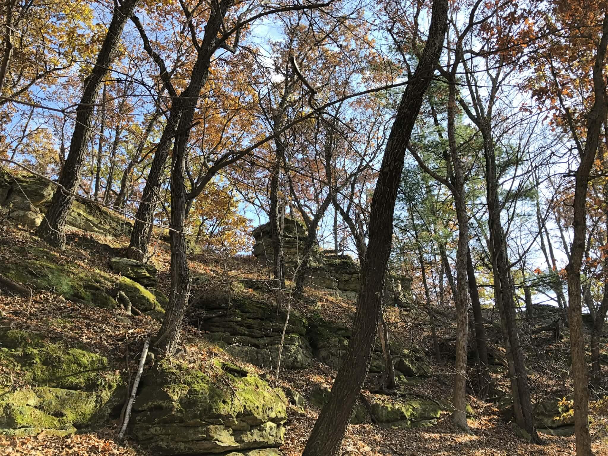 E13332 Highway 82 Stark, WI 54639 - Photo 67 of 71 22e78230-b535-4421-beab-87a13b9a3d3f