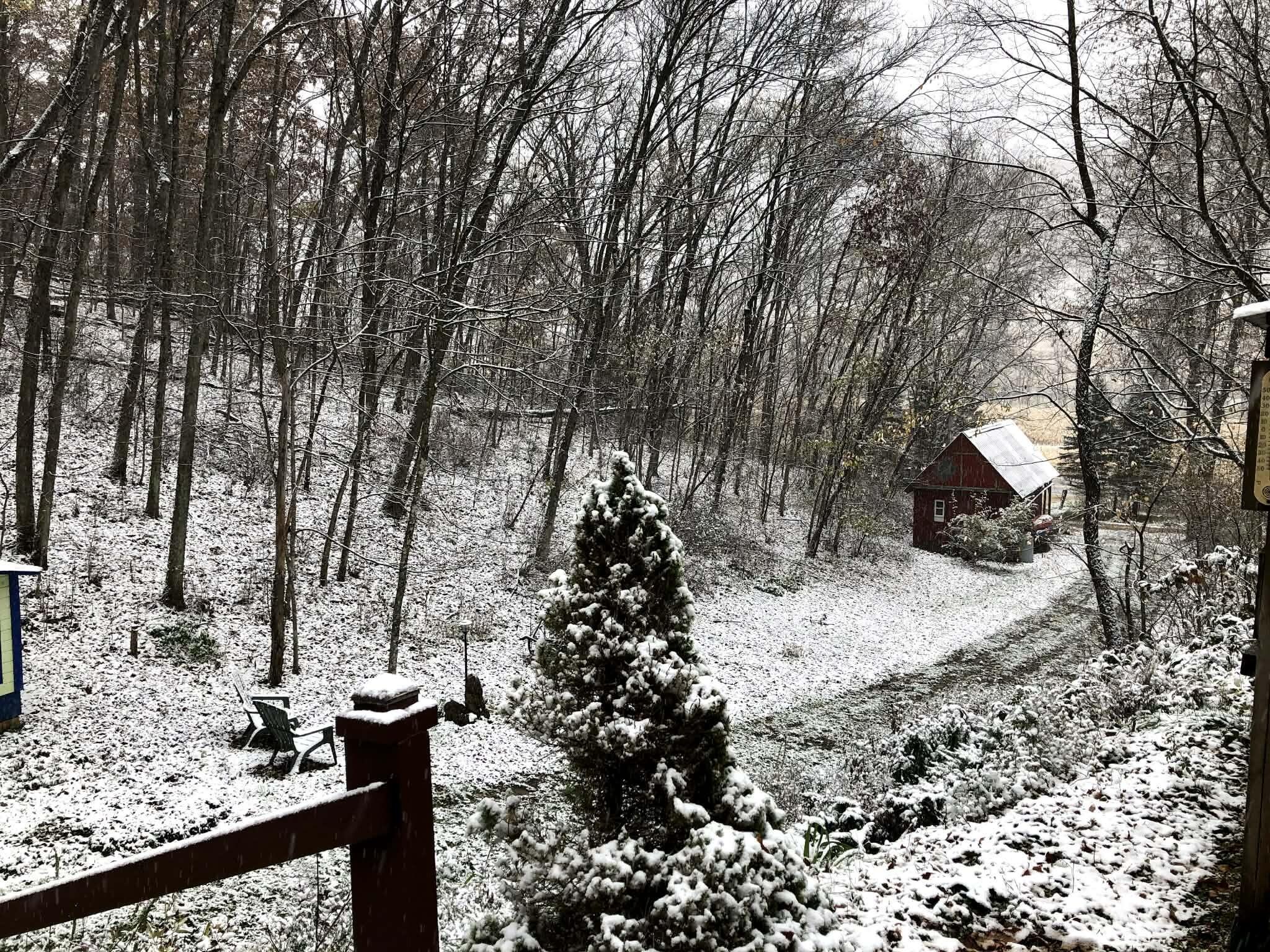 E13332 Highway 82 Stark, WI 54639 - Photo 68 of 71 af2a0342-9c1b-4e91-a051-1a0da4850f18