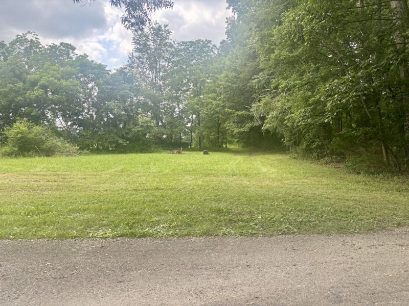 294 Haskell Winton Road Manchester, TN 37355 - Photo 2 of 14