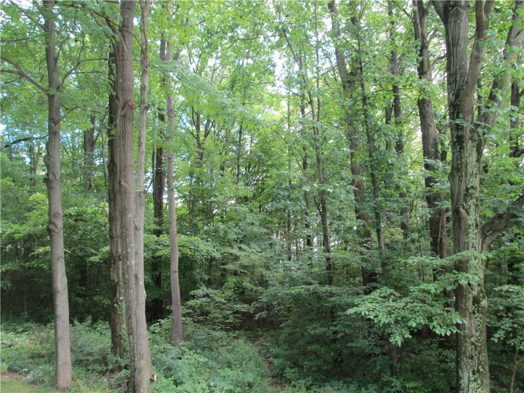 149 Old Ash Road Volant, PA 16156 - Photo 20 of 24 land