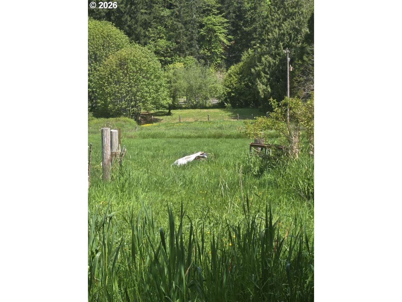 10195 Sweet Creek Road Mapleton, OR 97453 - Photo 7 of 9