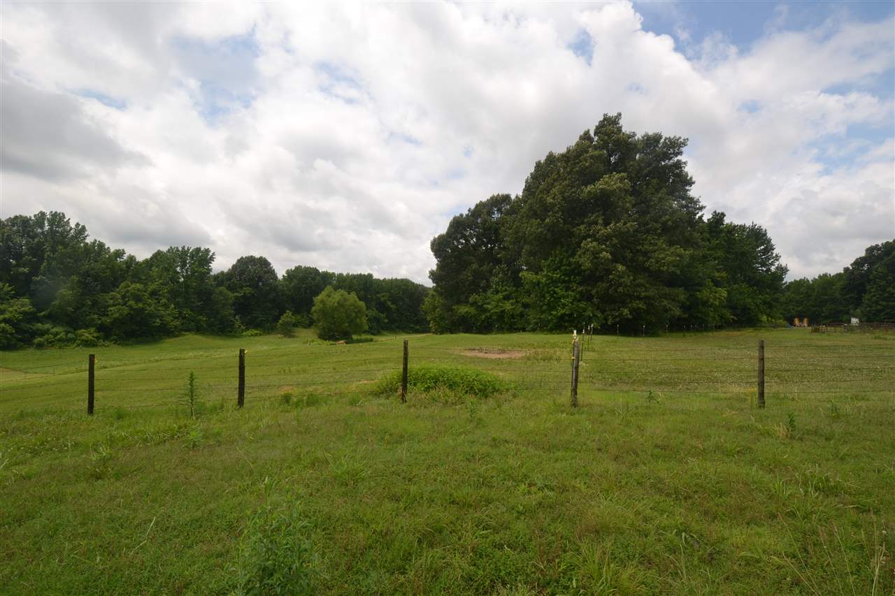 565 Bucksnort Road Covington, TN 38019 - Photo 16 of 16 Gallery Image 16