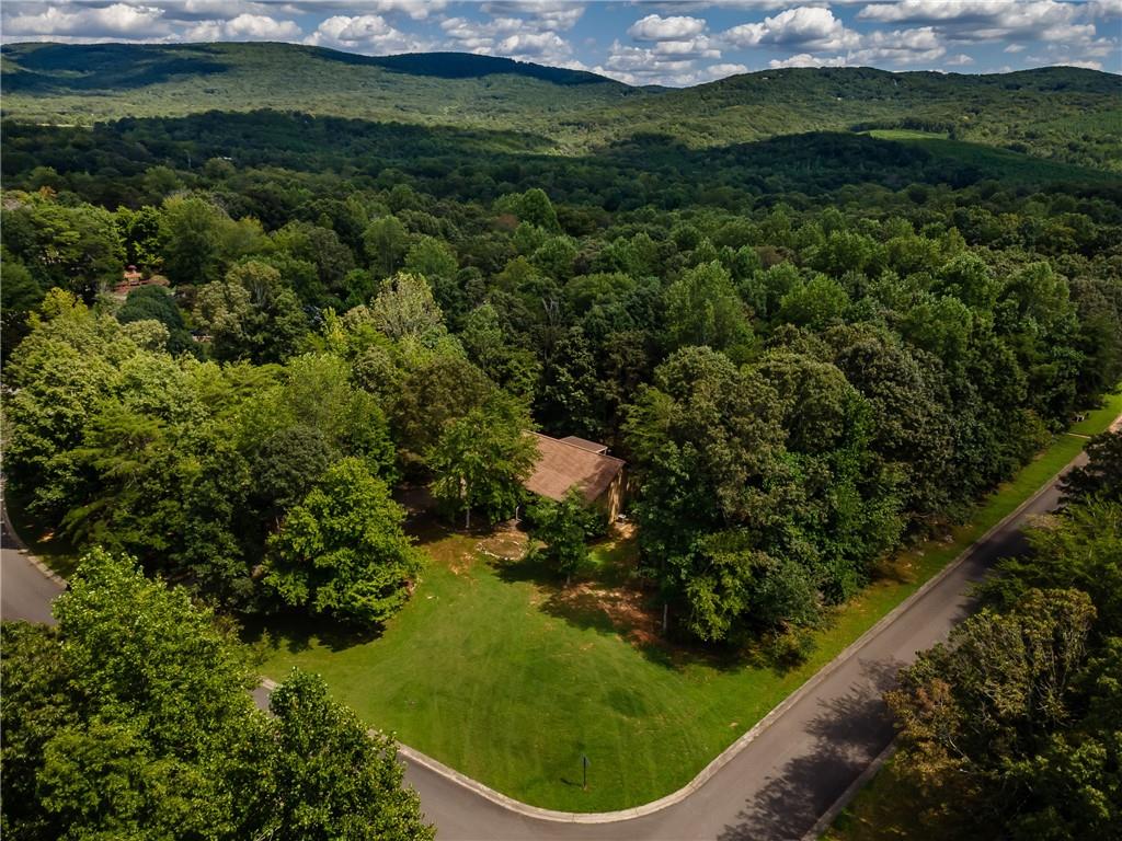 90 Chimney Sweep Trail Fairmount, GA 30139 - Photo 6 of 42